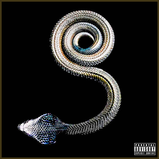 Seeing Signs - S.N.A.K.E.S