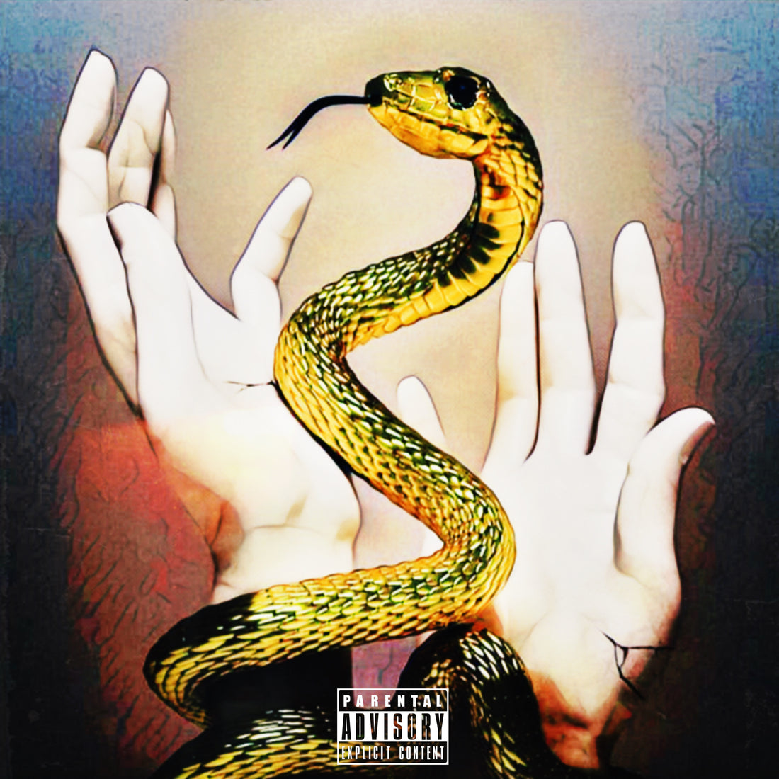 Shining - S.N.A.K.E.S.